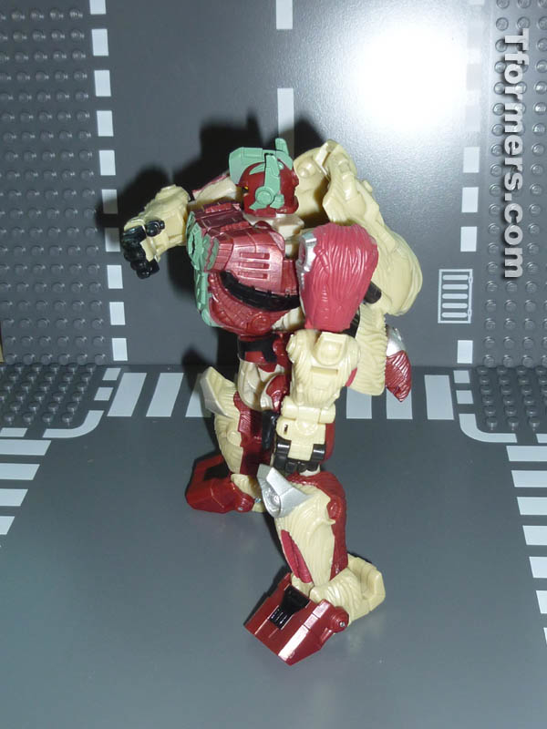 Botcon 2014 Knight 3 Pack Attendee Set  (47 of 82)